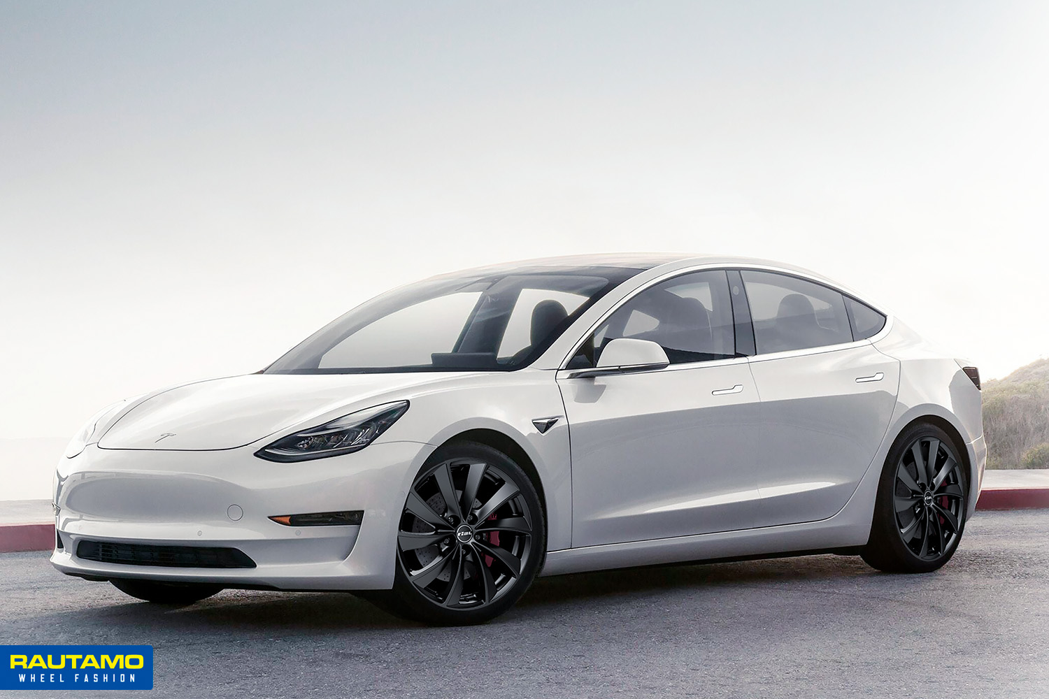 Rial Lugano Tesla vanteet autoon, bil fälgar
